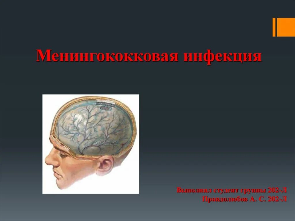 Отек мозга помощь. Менингококковая инфекция возбудитель. Менингококковая палочка. Формы менингококкового менингита. Отекиголоаного мозга при менингите.