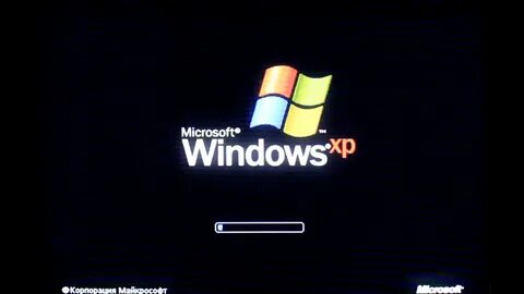 Windows хр зверь