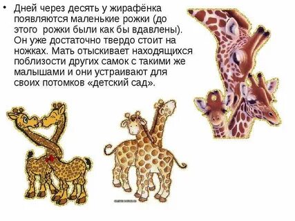 Рассказ про жирафа 1 класс