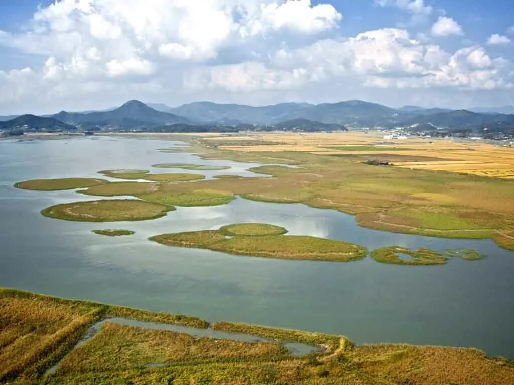 Билет до южной кореи. Тур в корею 2023 из москвы. Путешествие южная корея сеул. Южная корея путешествие. Численность кпрф 2022.