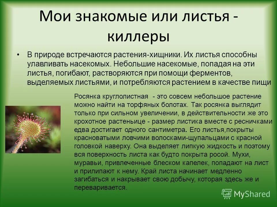 Питательные вещества для растений. Обмен веществ и энергии у растений. Растения содержащие способны улавливать. Растения получают энергию. Растения содержащие способны улавливать.