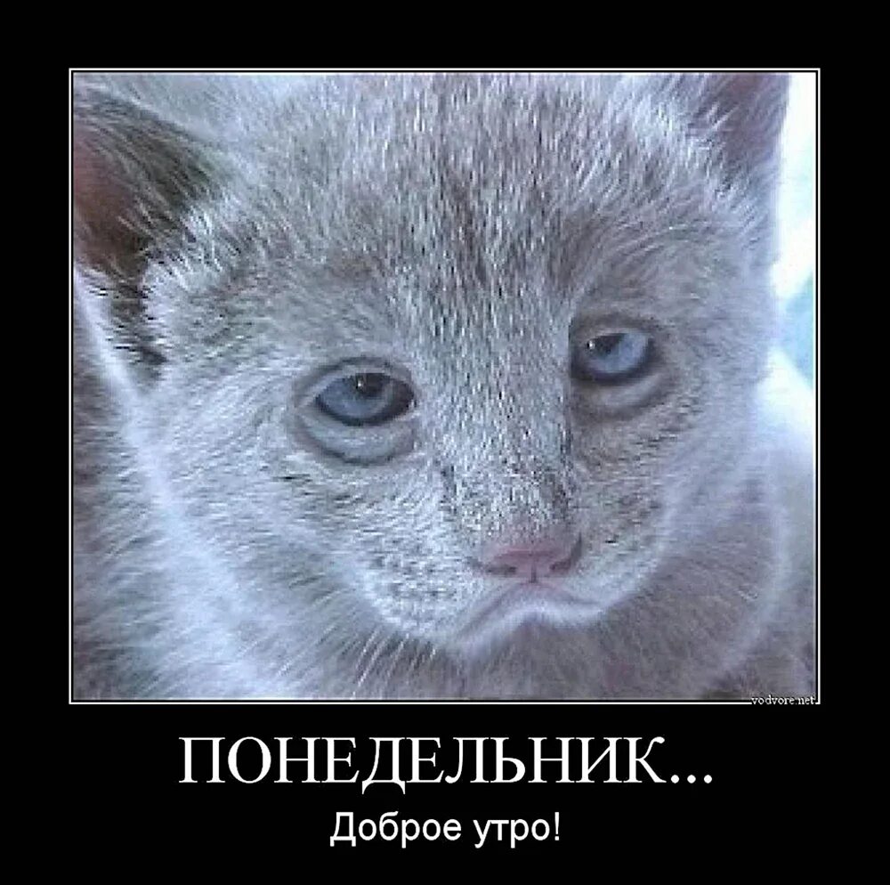 Демотиваторы про выходные. Понедельник после праздника. Понедельник после праздника. Первый день на работе после выходных. Понедельник после выходных.