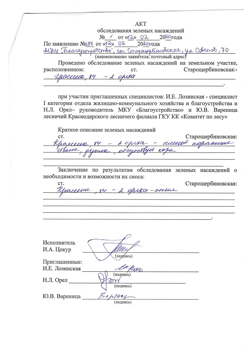 Акт вырубки деревьев. Акт обследования зеленых насаждений подлежащих вырубке. акт обследования зеленых насаждений образец заполнения. акт освидетельствование земельного участка. акт сноса зеленых насаждений санкт-петербург.