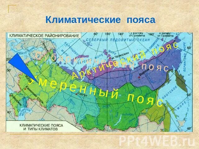 В каком поясе находится тундра