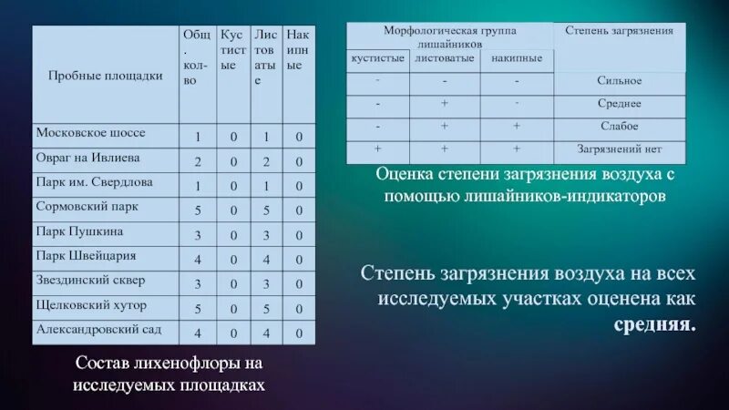 Оценка степени загрязнения воздуха. Оценка степени загрязненности воздуха. степени загрязненности атмосферы. оценки загрязненности атмосферы.