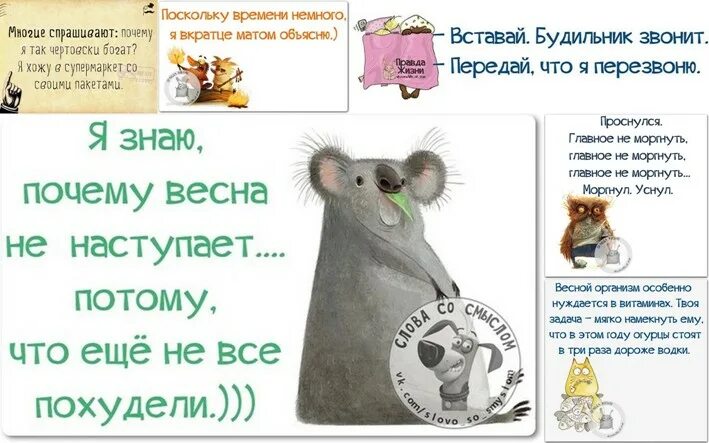 Я лучше матом объясню. Поскольку времени немного я вкратце матом объясню картинка. Я вкратце матом объясню. Поскольку времени немного я в кратце матом объясню. Я вкратце матом объясню.