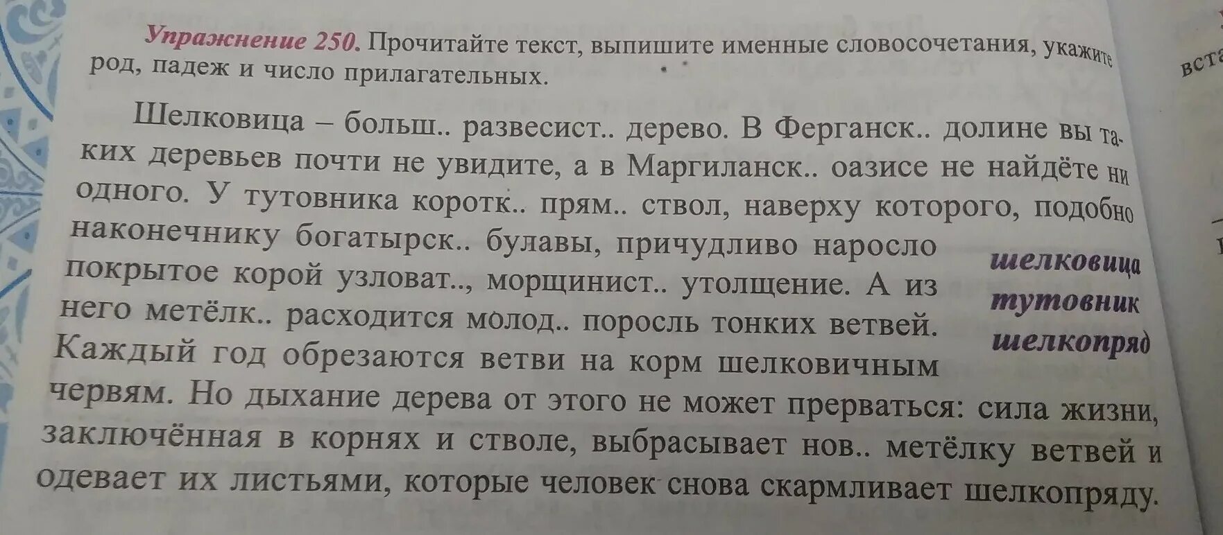 Прочитай текст выпиши словосочетания с согласованием укажи. Выписывание из текстов словосочетаний. Выпишите из текста два именных словосочетания. Выпишите именное словосочетание. Текст выпиши словосочетания.