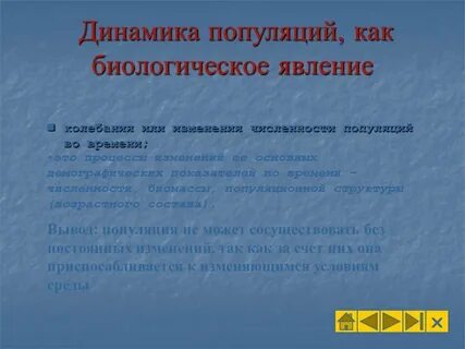 Динамическая популяция