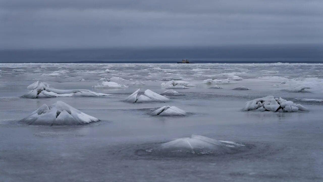 На льдах какого залива обитают белые. Маяк Шепелевский финский залив. Валуны на финском заливе. Лед на финском заливе. Ледяные Торосы на финском заливе 2022.