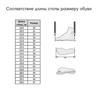 Самбовки размерная сетка