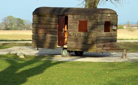 Camping wood