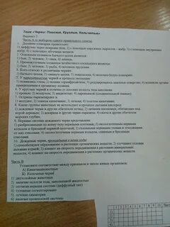 Черви вариант 1