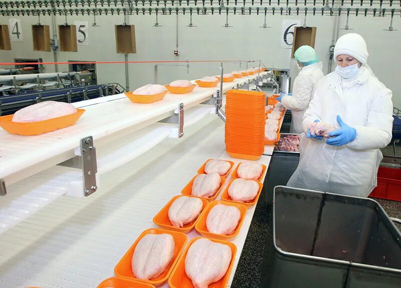 тушенка "спецрезерв" (завод арго) 325 гр. комбинат останкино колбасный цех. мясоперерабатывающий холдинг арго. завод мираторг в брянске. арго логотип.