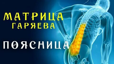 Матрица позвоночник