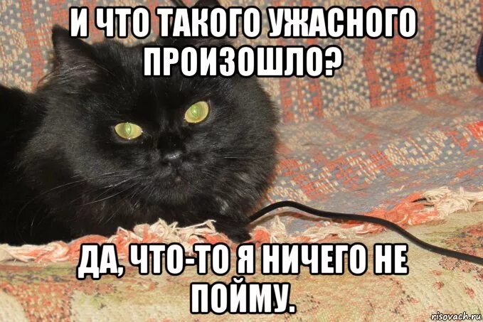 Ничего подобного не видим. А я что я ничего. а я то что я ничего. ничего страшного прикол. картинка я ничего не понимаю.