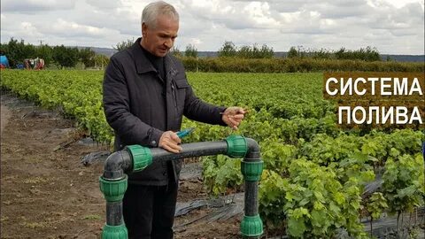 Институт полива