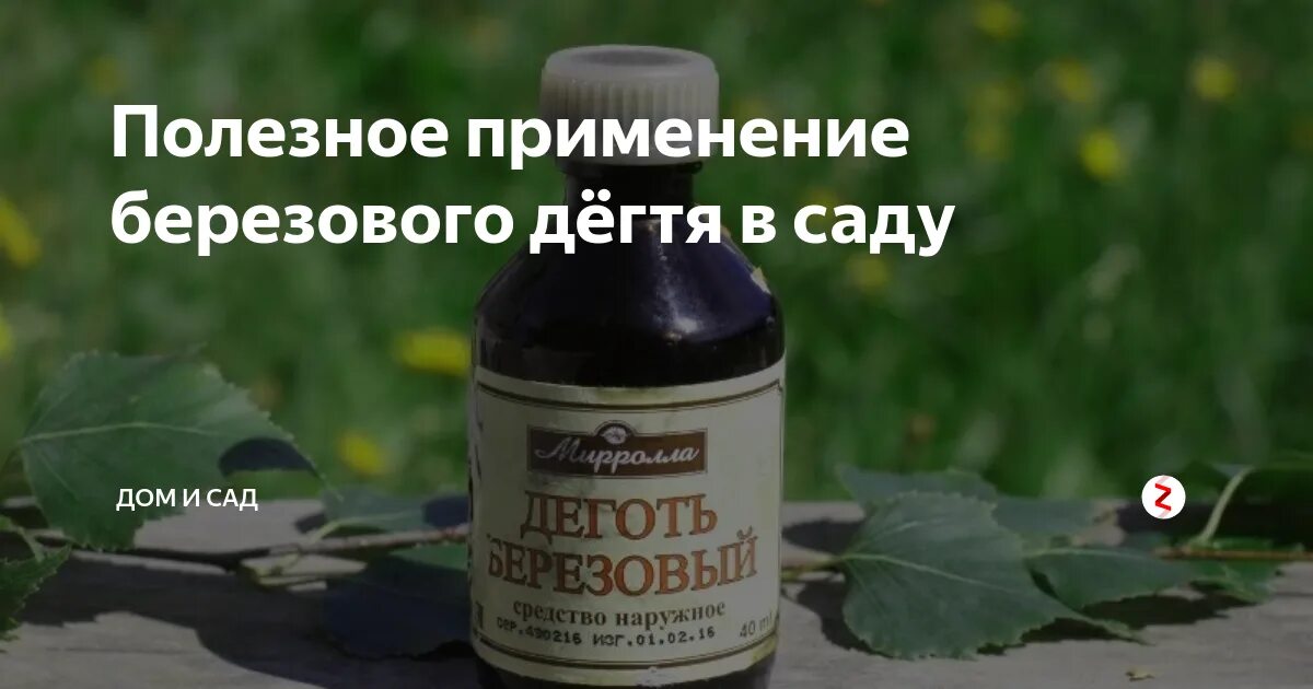 Березовый деготь от мошки. Березовый деготь. деготь березовый раствор для наружного применения. деготь для сада. берестовый деготь для сего применяют в саж.