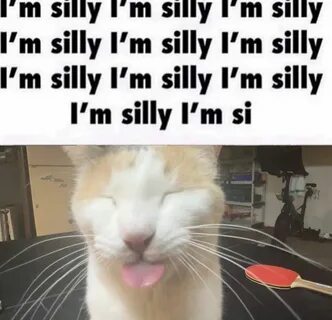 Silly but