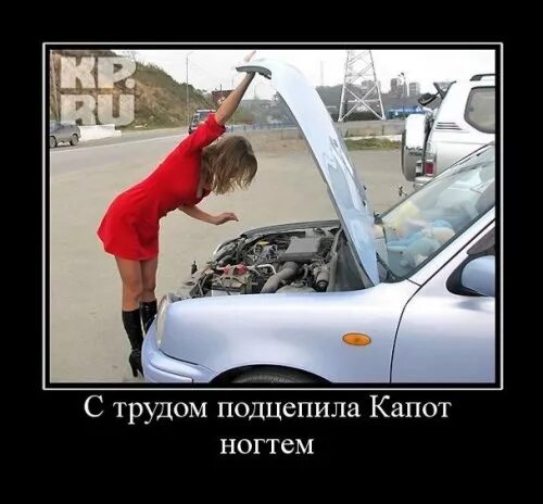 женщина за рулем приколы. женщина за рулем приколы. женщина за рулем приколы. женщина за рулём приколы. девушка за рулём прикрл.