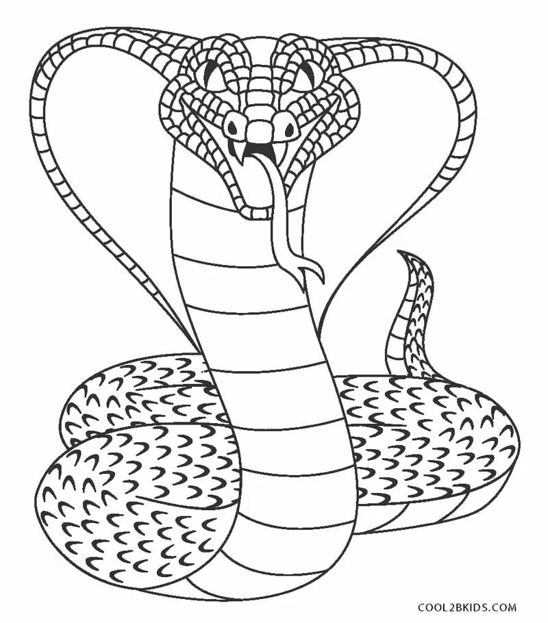 Corn snake Snake coloring pages, Animal coloring pages, Coloring pages