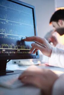 Информатика в различных областях