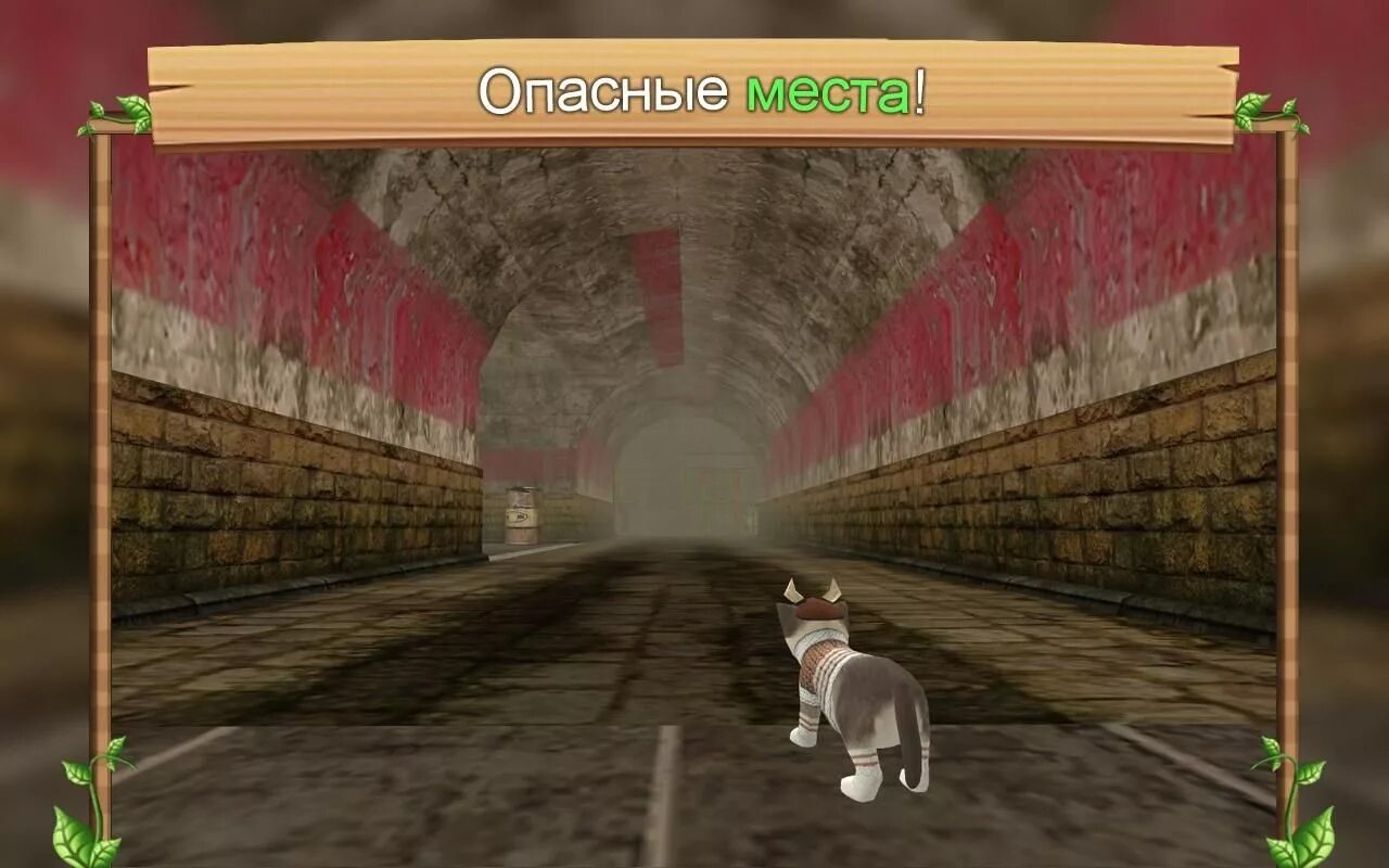 Catsim