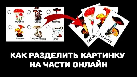 Поделить картинку на части онлайн
