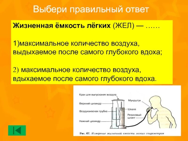 Что такое жел. Лабораторная работа жизненная емкость легких. измерение жизненной емкости легких (жел).. жизненная емкость легких жел это. жизненная емкость легких складывается из.