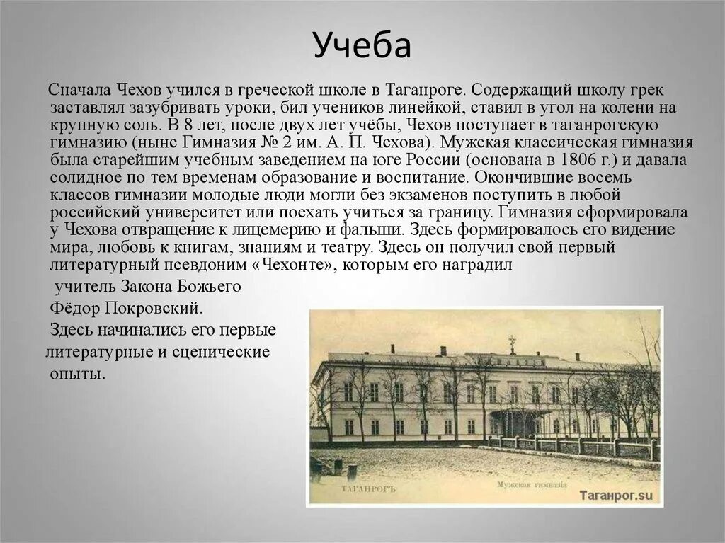 А п чехов учился. Учеба Антона Павловича Чехова.