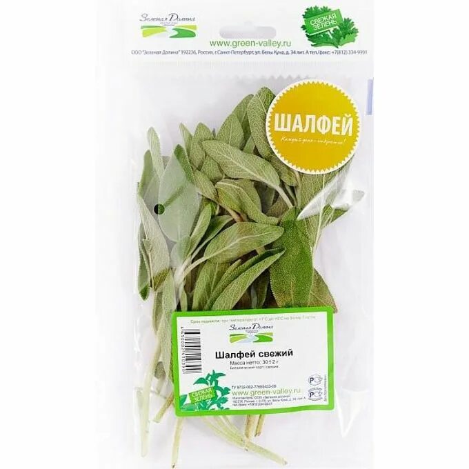 Шалфей спб. Шалфей санкт петербург. Шалфея лист хербес. Шалфей дубравный сальвия. Шалфей спб.