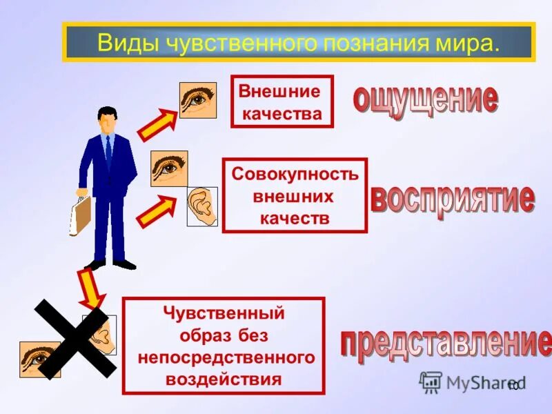 Презентация тема познание