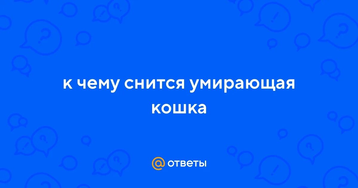 К чему снится мертвые котята во сне. Видеть мёртвого котёнка в воде к чему снится. К чему снятся мертвые кошки. К чему увидеть кошку во сне. К чему снится мертвые котята во сне.