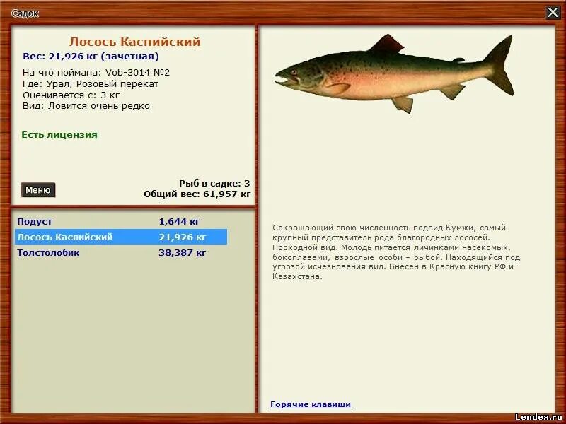 рыбалка для друзей какие рыбы. рыбалка для друзей рыба. рыбалка для друзей какие рыбы. где ловится форель. игры про рыбалку на андроид.
