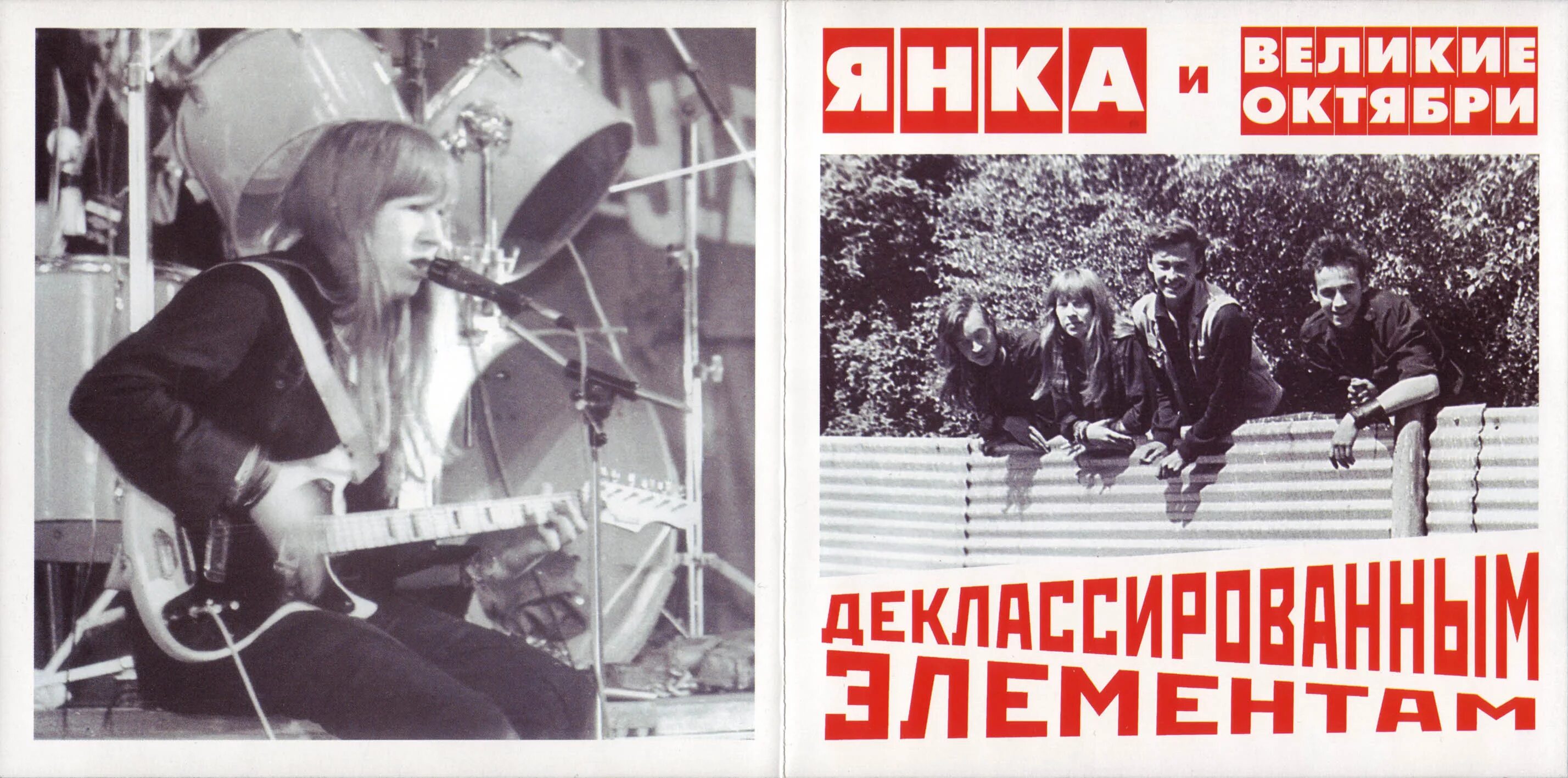 Янки мужа. Янки мужа