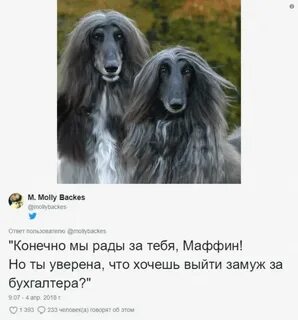 Конечно рад