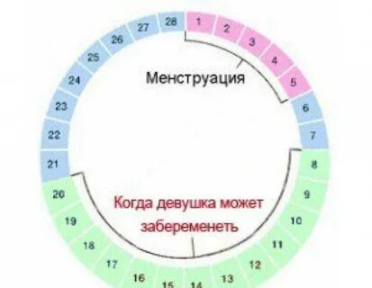 Какая вероятность забеременеть без