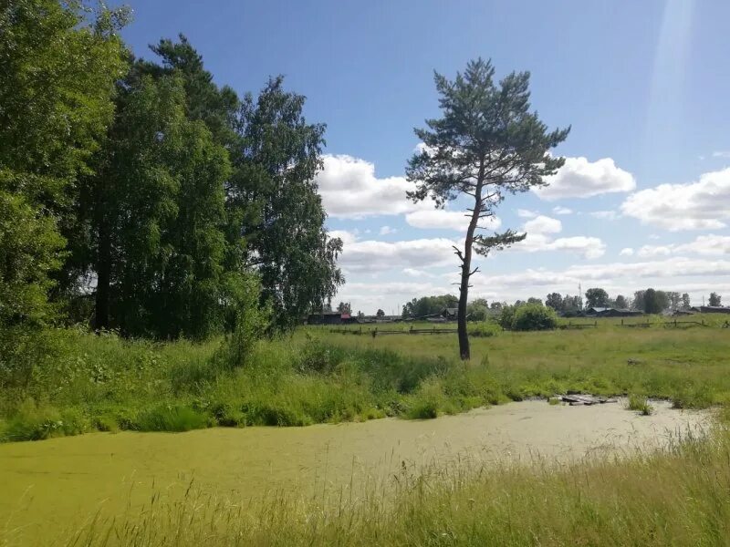 Погода в альмяково томская. Погода альмяково. Погода в альмяково томская. Погода в альмяково томская. Погода в альмяково томская.