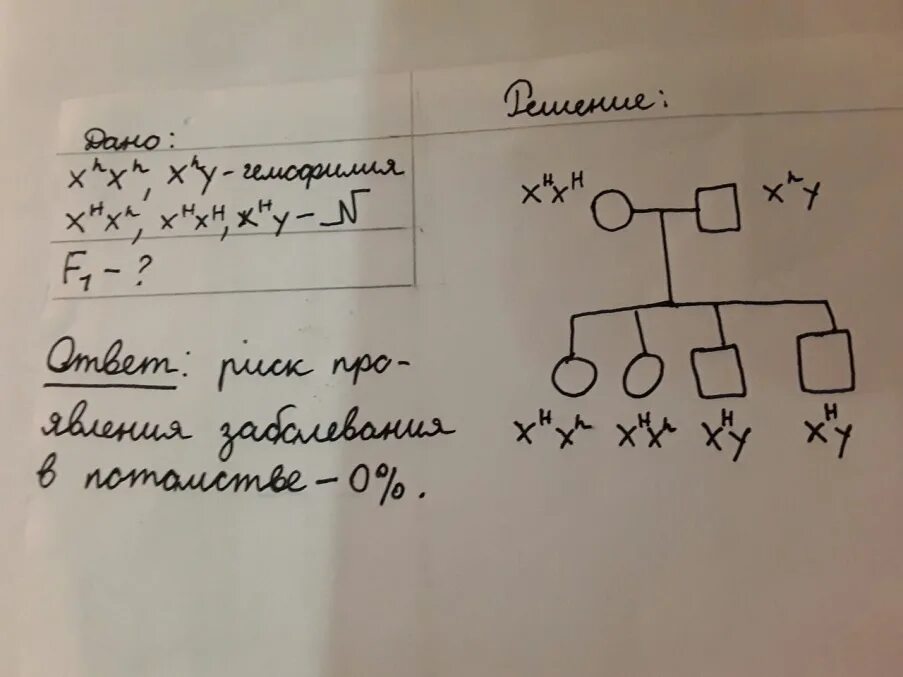 Мужчина страдающий гемофилией и дальтонизмом. Задачи на наследование гемофилии и дальтонизма. Задачи на гемофилию. Схема наследования гемофилии. Гемофилия және дальтонизм