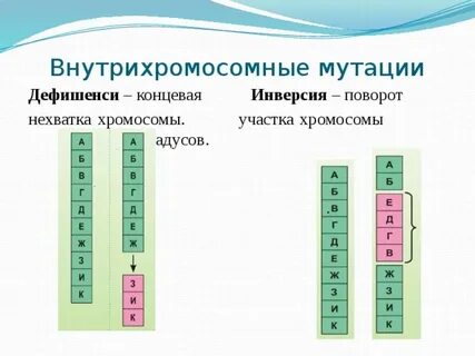 Поворот участка хромосомы это