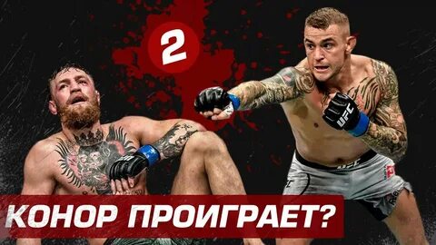 Сибирский конор боец