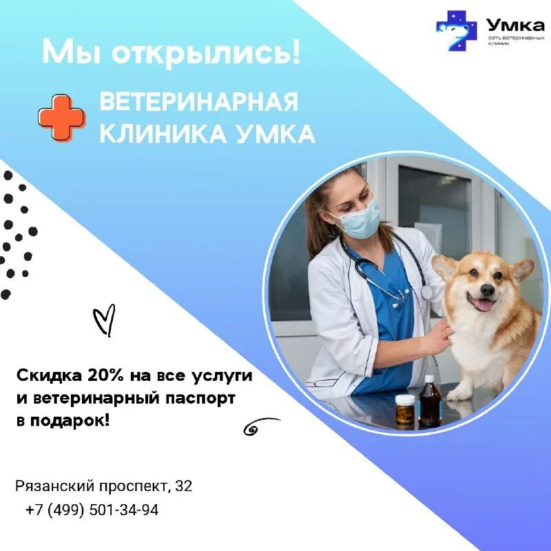 Ветлечебница умка. Ветлечебница умка. Умка ветклиника калуга. Ветклиника умка клязьма. Умка подольск ветклиника.