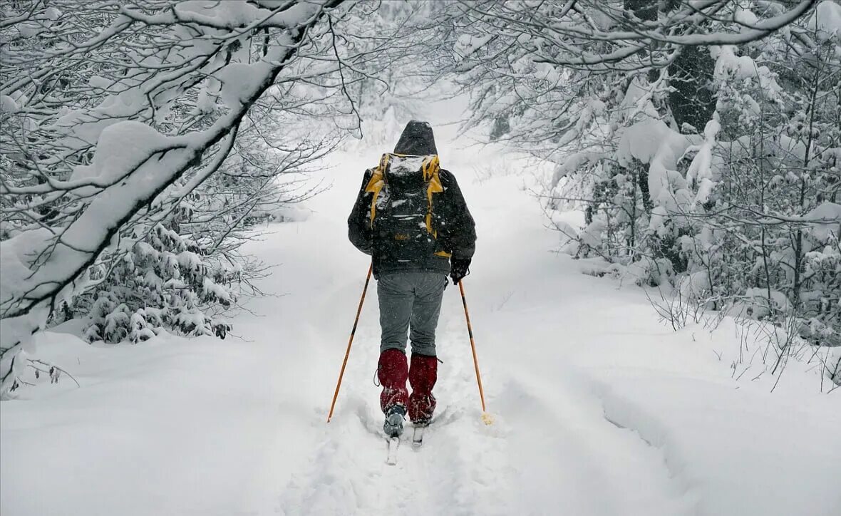 Cross Country Skiing. Крутые фото лыжников в лесу. От холодного встречного ветра у лыжников замерзли