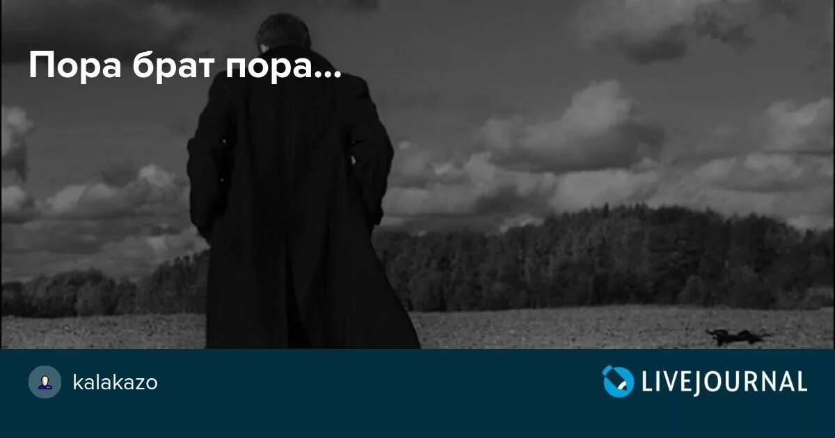 Пора брат пора. Пора брат пора стих. Мы вольные птицы пора брат пора. Пора брат домой.