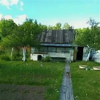Снт лесовод 2