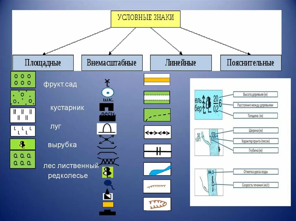 Укажите существующие элементы. Линейные площадные и точечные условные знаки. Масштабные условные знаки. Топографические условные обозначения. Виды условных знаков.