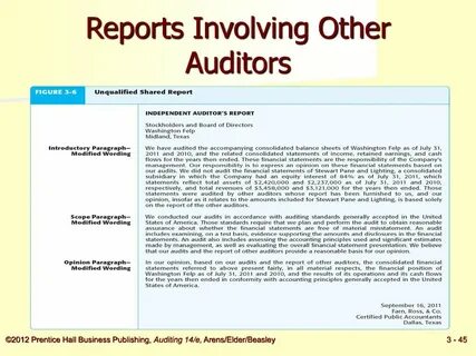 Reporting audit