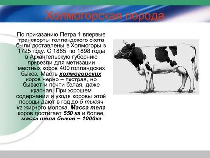 Сообщение о сельскохозяйственном животном 3 класс