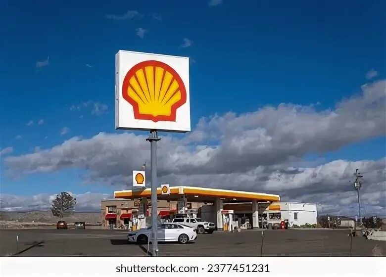 Big shell. Big shell
