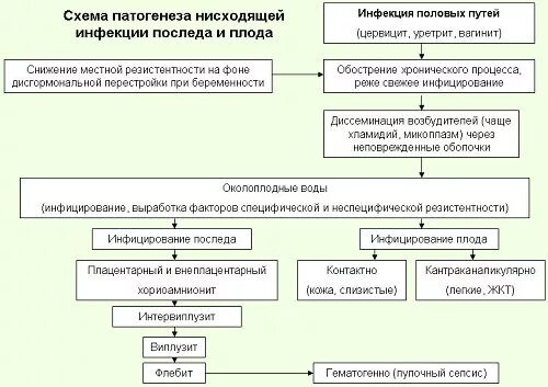 Лечение цервицита препараты эффективные