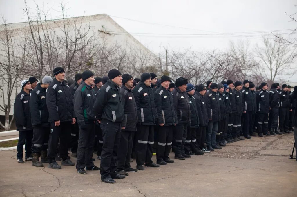 Вакансии ленинск волгоградская. Колония 26 волгоград колония поселения. тюрьма в ленинске волгоградской области. колония поселения 27 ленинск. г ленинск волгоградской области колония поселения.